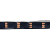 WS2812B Addressable RGB LED Strip Black PCB IP67 / IP68 Tubing